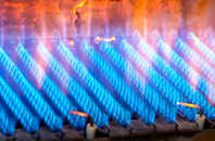 Swampton gas fired boilers